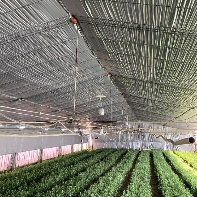 ハイメタリックシルバー 厚み0.075mm 幅270cm 長さ50m 農ビ 外張り用 内張り用 遮光 防滴 練込 タキロンシーアイ サT 北海道不可 個人宅配送不可 代引不可 | タキロンシーアイ