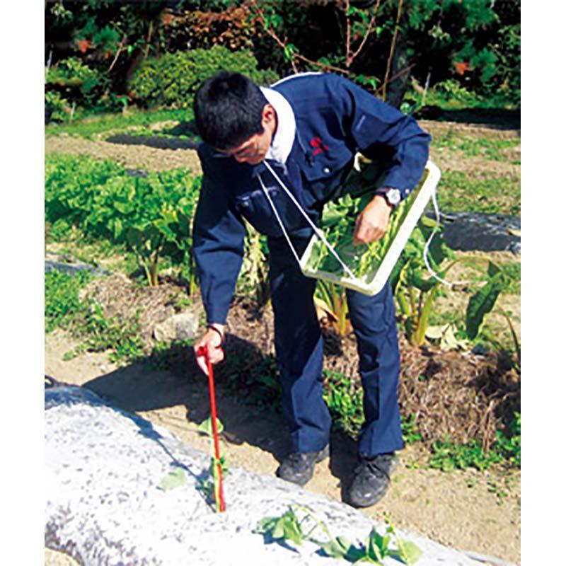 さすけ AP-02 リストループ付 かんしょ 芋づる 苗 植え付け 立ち 作業 サンエー 代引不可 |  | 01