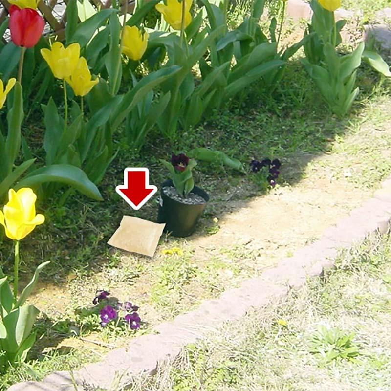 犬・猫・獣 いやがる置くタイプ 1箱 6個入 日本製 犬 猫 獣 臭覚 刺激 天然成分 安心 安全 児玉 花壇 家の回り 福KD |  | 01