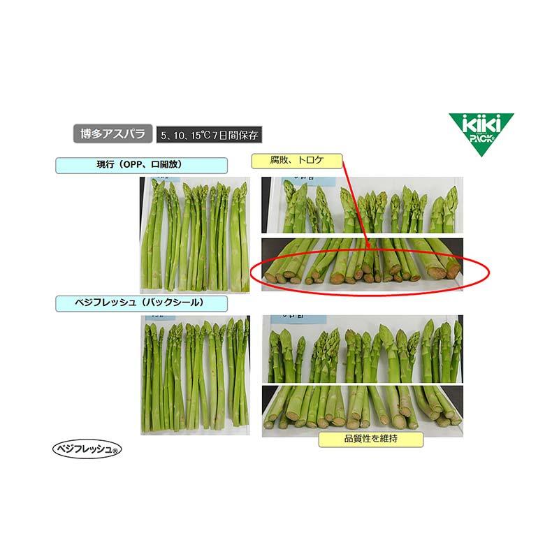 3000枚 ベジフレッシュ 10号 180×270mm 鮮度 保持袋 野菜 呼吸 抑制 低コスト ホリックス タS 北海道不可 個人宅配送不可 代引不可 |  | 10