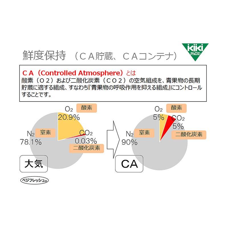 3000枚 ベジフレッシュ 12号 230mm×340mm 鮮度 保持袋 野菜 呼吸 抑制 低コスト タS 北海道不可 個人宅配送不可 代引不可 |  | 07