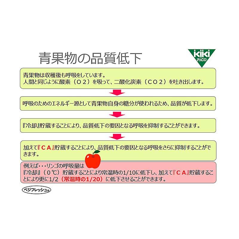 3000枚 ベジフレッシュ 13号 260mm×380mm 鮮度 保持袋 野菜 呼吸 抑制 低コスト ホリックス タS 北海道不可 個人宅配送不可 代引不可 |  | 06