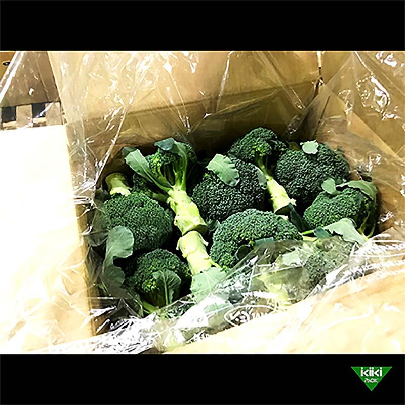 500枚 ベジフレッシュ 大袋 L＃15 900mm×800mm 野菜 コンテナ ダンボール 内袋 鮮度 保持袋 タS 北海道不可 個人宅配送不可 代引不可 |  | 01