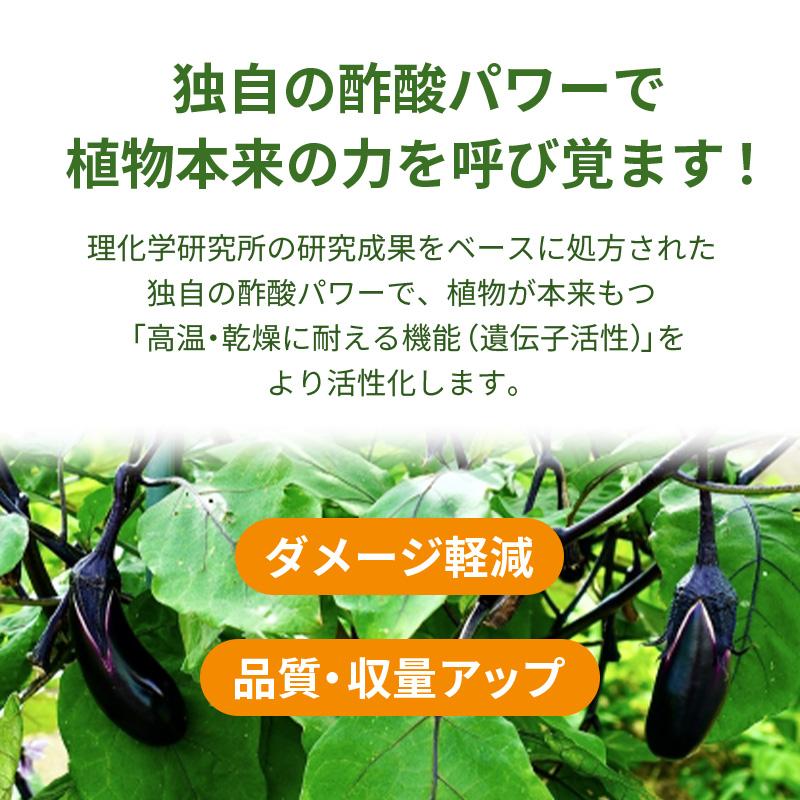 スキーポン・アグリ Skeepon Agri 500ml バイオスティミュラント資材 酢酸 野菜 農園 農業 園芸 高温 乾燥 ダメージ 軽減 スキーポンアグリ 大興貿易 DZ |  | 03