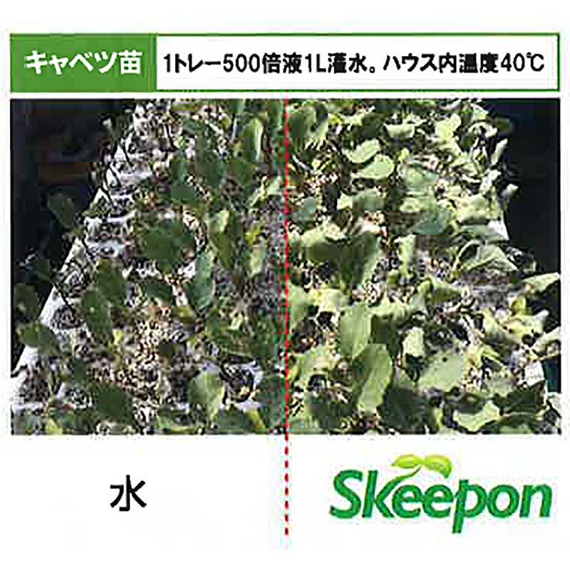 スキーポン・アグリ Skeepon Agri 500ml バイオスティミュラント資材 酢酸 野菜 農園 農業 園芸 大興貿易 DZ |  | 04