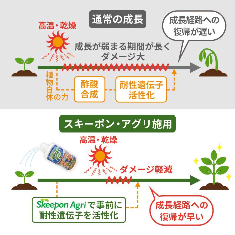 スキーポン・アグリ Skeepon Agri 500ml バイオスティミュラント資材 酢酸 野菜 農園 農業 園芸 高温 乾燥 ダメージ 軽減 スキーポンアグリ 大興貿易 DZ |  | 04