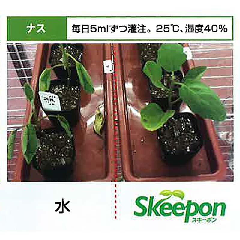 スキーポン・アグリ Skeepon Agri 500ml バイオスティミュラント資材 酢酸 野菜 農園 農業 園芸 大興貿易 DZ |  | 06