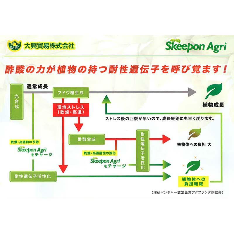 スキーポン・アグリ Skeepon Agri 1L バイオスティミュラント資材 酢酸 野菜 農園 農業 園芸 大興貿易 代引不可 |  | 03