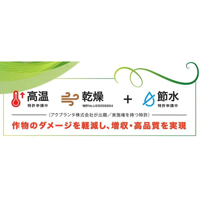 スキーポン・アグリ Skeepon Agri 5L バイオスティミュラント資材 酢酸 野菜 農園 農業 園芸 大興貿易 代引不可｜plusys｜02