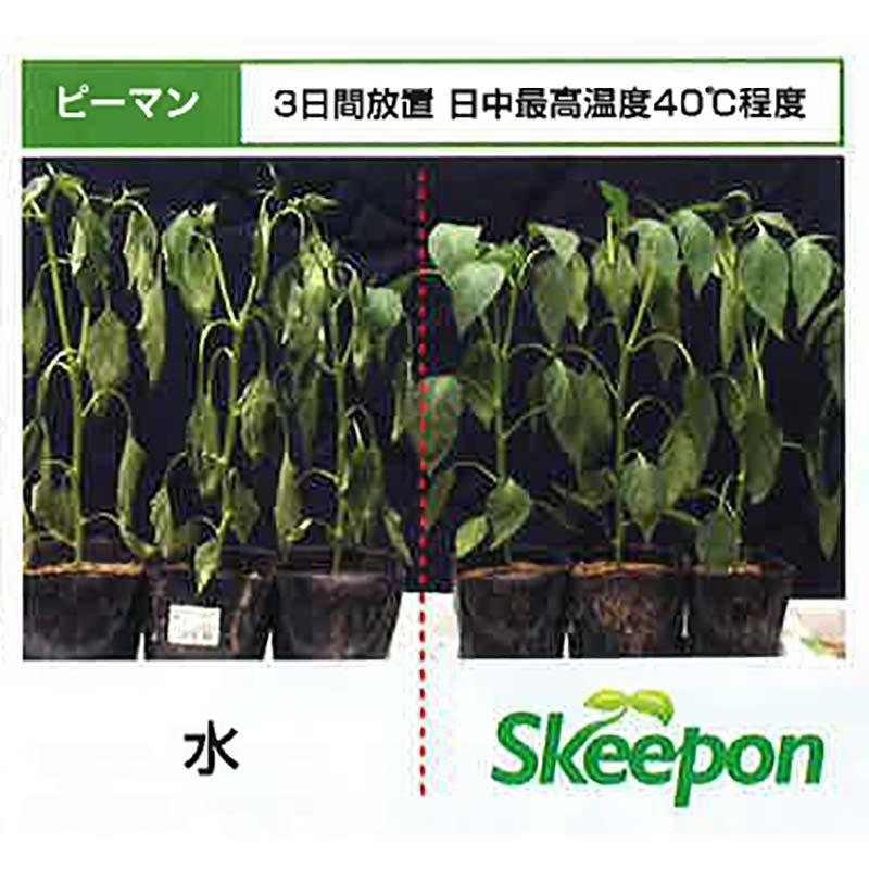 スキーポン・アグリ Skeepon Agri 5L バイオスティミュラント資材 酢酸 野菜 農園 農業 園芸 大興貿易 DZ |  | 04