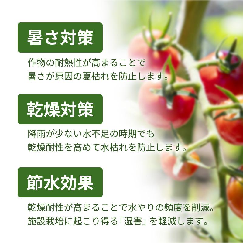 スキーポン・アグリ Skeepon Agri 5L バイオスティミュラント資材 酢酸 野菜 農園 農業 園芸 高温 乾燥 ダメージ 軽減 スキーポンアグリ 大興貿易 DZ |  | 05