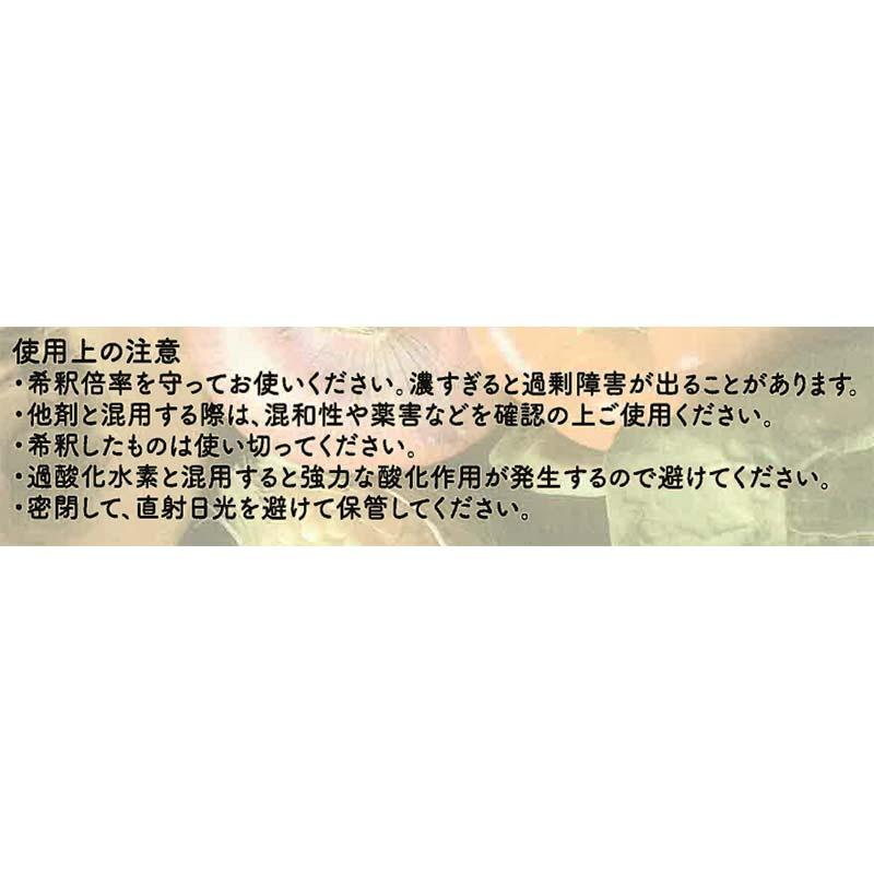 Fe-ver 500ml 二価鉄 高濃度 12000ppm 葉面 散布 野菜 農園 農業 園芸 大興貿易 DZ |  | 03