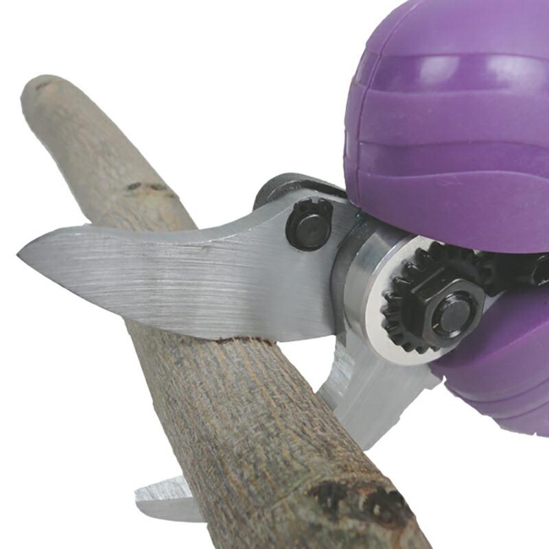 リチウムイオン充電式 電動剪定はさみ 枝切っ太郎 ASH-30M 剪定ばさみ 剪定鋏 枝切りバサミ 枝きりはさみ 電動ハサミ 電動はさみ アルミス 代引不可 |  | 01