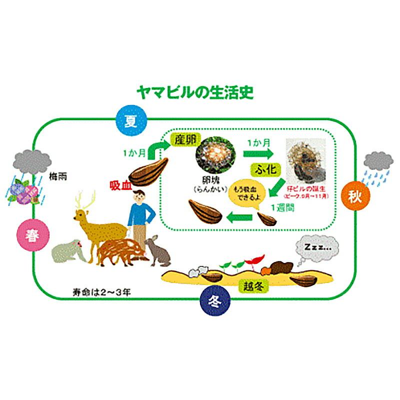 ヤマビルファイター 135ml ヤマビル 忌避 殺ヒル スプレー イカリ消毒 福KD |  | 07
