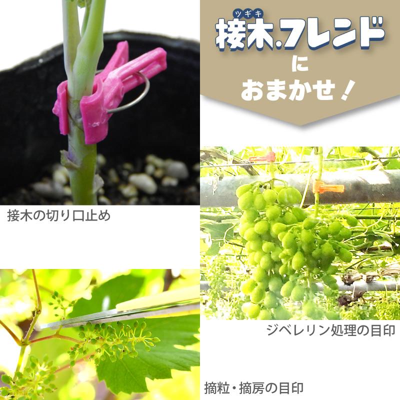 200個 接木フレンド イエロー 黄 接木用 クリップ 接ぎ木 フレンド ナス科用 ウリ科用 兼用 ブドウ ジベレリン処理 摘粒 摘房 目印 日本ピアレス工業 カ施 DZ |  | 03