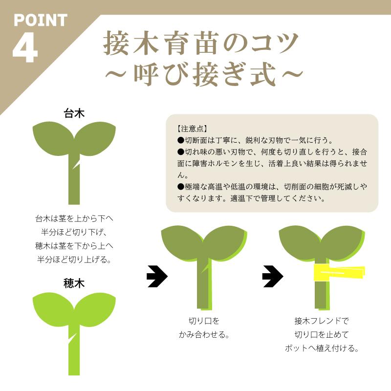 200個 接木フレンド イエロー 黄 接木用 クリップ 接ぎ木 フレンド ナス科用 ウリ科用 兼用 ブドウ ジベレリン処理 摘粒 摘房 目印 日本ピアレス工業 カ施 DZ |  | 07