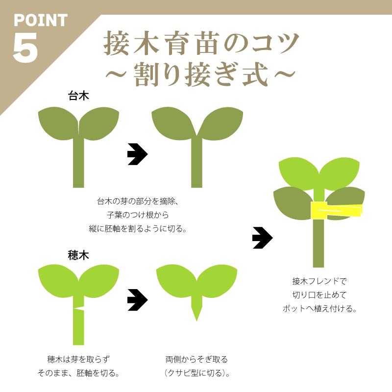 200個 接木フレンド イエロー 黄 接木用 クリップ 接ぎ木 フレンド ナス科用 ウリ科用 兼用 ブドウ ジベレリン処理 摘粒 摘房 目印 日本ピアレス工業 カ施 DZ |  | 08