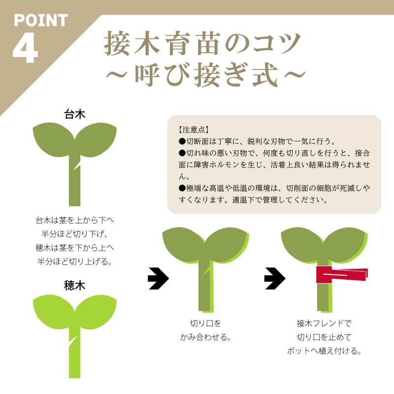 200個 接木フレンド レッド 赤 接木用 クリップ 接ぎ木フレンド ナス科用 ウリ科用 兼用 ブドウ栽培 ジベレリン処理 摘粒 摘房 目印 日本ピアレス工業 カ施 DZ |  | 07