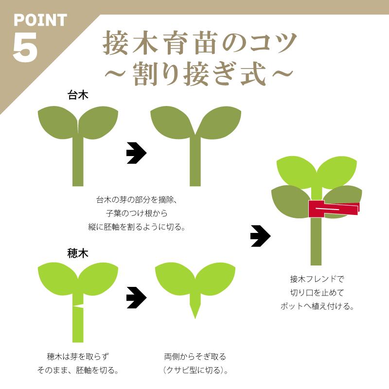 200個 接木フレンド レッド 赤 接木用 クリップ 接ぎ木フレンド ナス科用 ウリ科用 兼用 ブドウ栽培 ジベレリン処理 摘粒 摘房 目印 日本ピアレス工業 カ施 DZ |  | 08