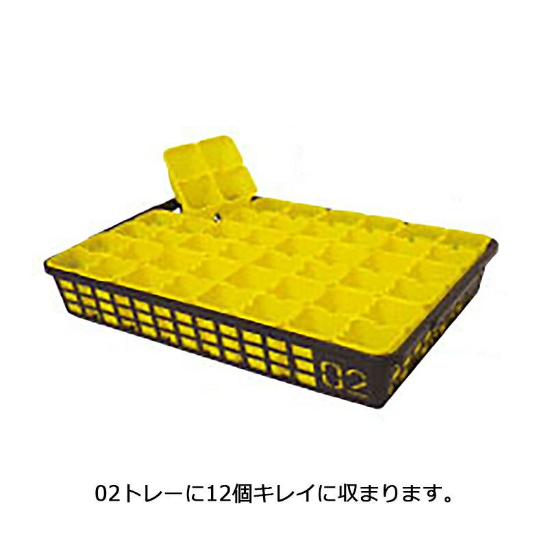 1200個入 育苗 ACカットパック 2×2 黒 縦11cm×横12cm×高さ7.5cm 02トレー 収納 アンドウケミカル サT 個人宅配送不可 代引不可 |  | 01