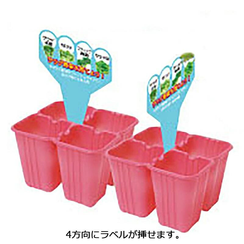 1200個入 育苗 ACカットパック 2×2 黒 縦11cm×横12cm×高さ7.5cm 02