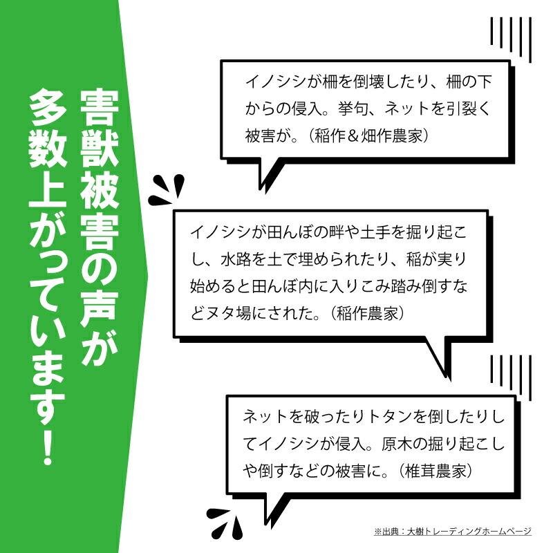 ＼ セットでお得！ ／ イノシシびっくり・支柱 セット DG505 DG951 電池付 イノシシ対策 被害 撃退 イノシシ クマ タヌキ 猪よけ 猪 大樹トレーディング 新E DZ |  | 01