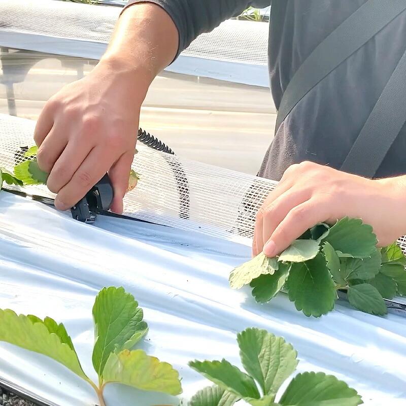 超音波溶着器リニアキュッパ L-QPB-01 バッテリー 充電式 ドットライン 袋 不織布 マルチ掛け 超音波 シーラー ホッチキス 針不要 朝日産業 オK 代引不可 |  | 08