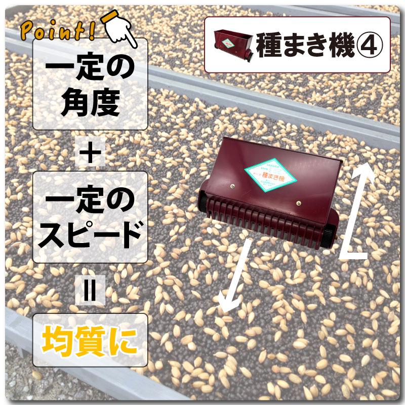 セット みくに式 種まき機 ＆ 覆土専用機 播種機 覆土機 ガードレール付 三国式 水稲 水田 水稲播種機 水稲覆土機 レール式 育苗資材 園芸資材 農業資材 サT DZ |  | 06