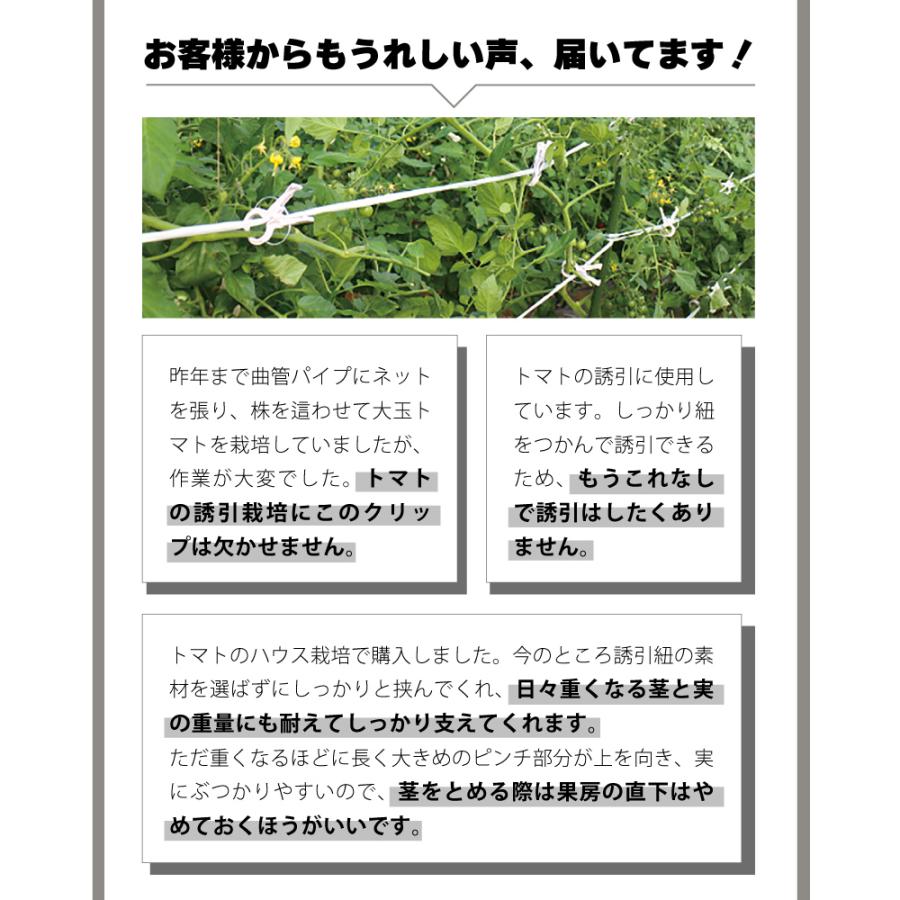 200個 くきたっちアルファ 20 グレー 灰色 A20-GY200 細紐用 誘引クリップ 誘引資材 誘引器具 誘引 紐 ひも クリップ トマト パプリカ 栽培 シーム タS 代引不可 |  | 01