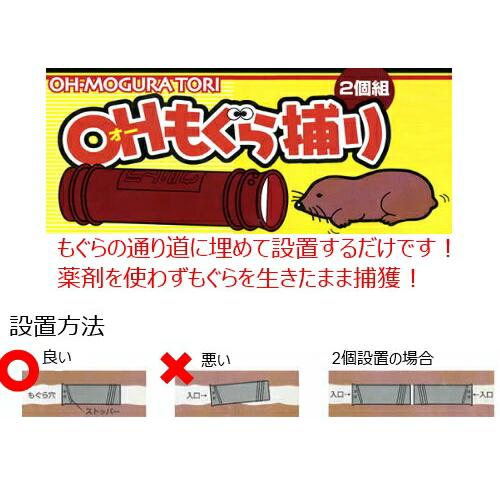 コンパル OHもぐら捕り 2個組 捕獲器 アサノヤ産業D | アサノヤ産業 | 01