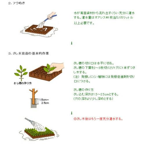 さし木培地 オアシス 5770 さし木用 34シート入 育苗 栽培用品 