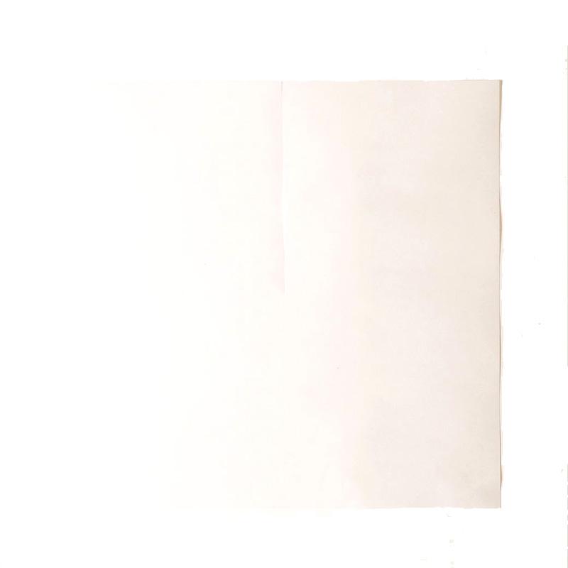 2500枚 270角 葡萄傘 白撥水傘 80g 厚手 553281 4570123992163 270×270mm ブドウ 蝋引き ぶどう用傘 星野 代引不可 | 