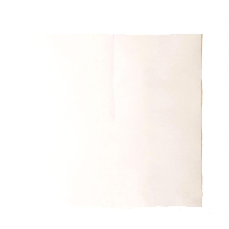 2500枚 300角 葡萄傘 白撥水傘 80g 厚手 553282 4570123992170 300×300mm ブドウ 蝋引き ぶどう用傘 星野 代引不可 | 