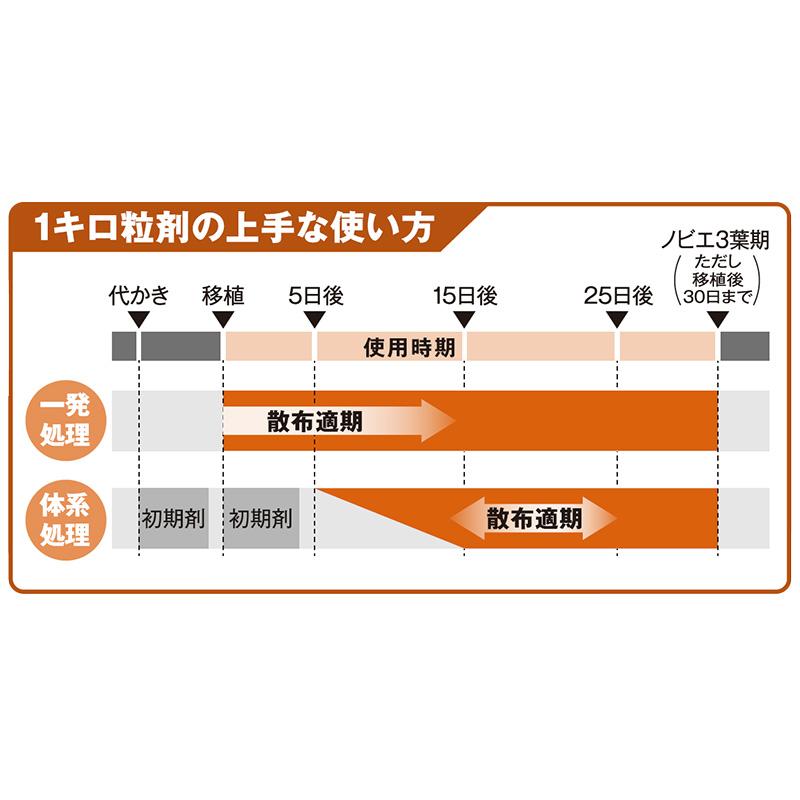 イネヒーロー 1キロ粒剤 1kg 科研製薬 Vデ 代引不可 産直 |  | 01