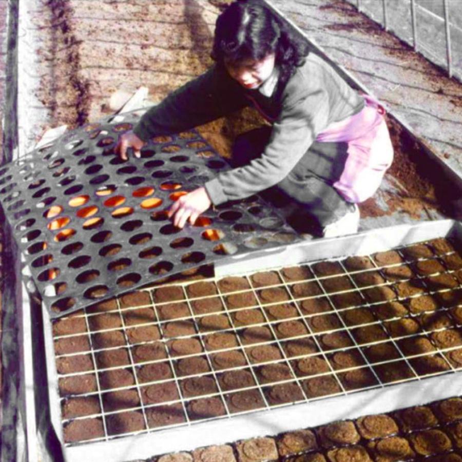 板のみ 15号 角ポット用 小穴62mm L50角P 育苗ポット 連続 土詰器 スピードポッター 槍木産業 うつぎ産業 カ施 代引不可 |  | 01