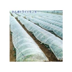 10個 かんきちウェイト 二重トンネル・フィルム用 槍木産業 うつぎ産業 カ施 代引不可 |  | 01