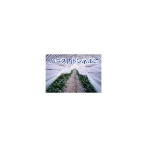 10個 かんきちウェイト 二重トンネル・フィルム用 槍木産業 うつぎ産業 カ施 代引不可 |  | 06