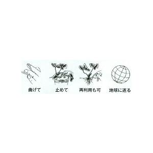 ミニピンペーパー 10cm 2000本入 いちご イチゴ 槍木産業 うつぎ産業 カ施 代引不可 | 