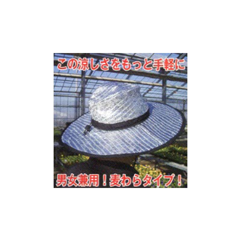 麦わら涼かちゃん槍木産業 うつぎ産業 カ施 代引不可 | 