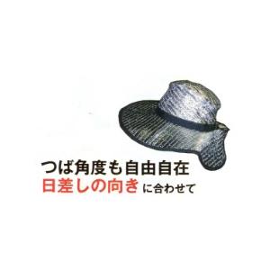麦わら涼かちゃん槍木産業 うつぎ産業 カ施 代引不可 |  | 01