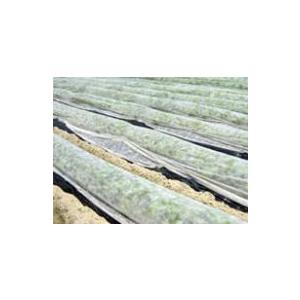 NEWアイホッカ #18 巾1.5m×200m 高保温性 農業用不織布 岩谷マテリアル イワタニ タS 個人宅配送不可 北海道不可 代引不可 | 