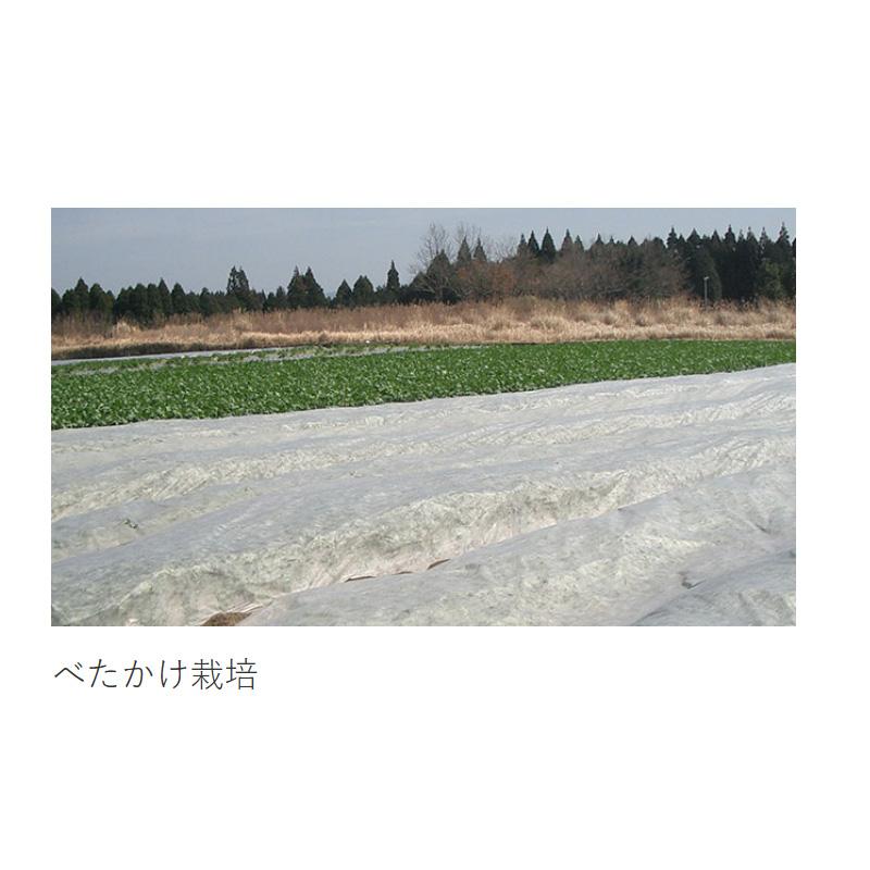 NEWアイホッカ #18 150cm×200m 農業用不織布 生育促進 防虫・防鳥 防霜効果 岩谷マテリアル イワタニ タS 個人宅配送不可 北海道不可 代引不可 |  | 01