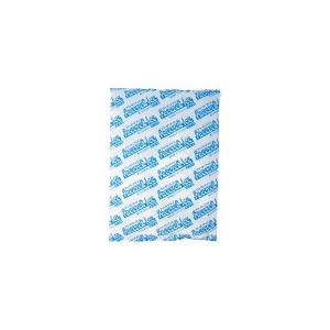 業務用保冷剤 フリーザーアイス ソフト Rシリーズ R-800 21個入 200×260mm カ施 代引不可 | 