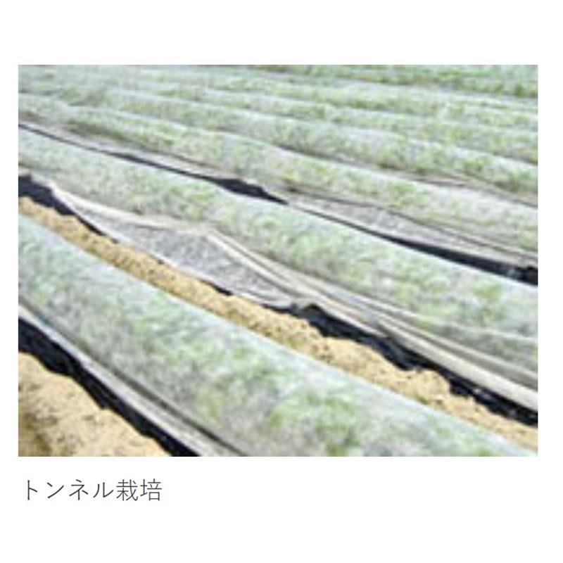 NEWアイホッカ #18 180cm×200m 生育促進 防霜・防鳥効果 農業用不織布 岩谷マテリアル イワタニ タS 個人宅配送不可 北海道不可 代引不可 |  | 02