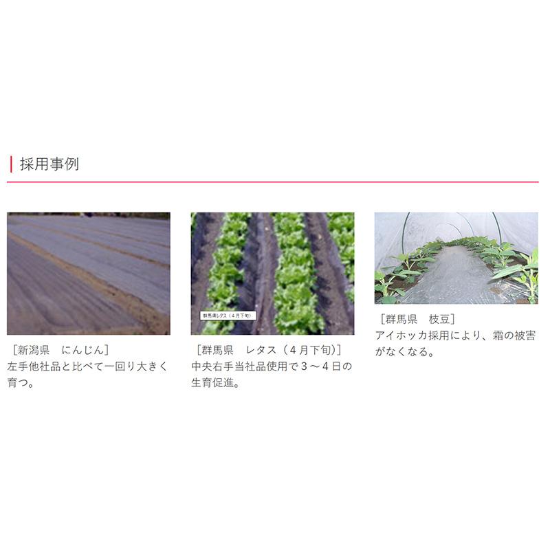NEWアイホッカ #18 180cm×200m 生育促進 防霜・防鳥効果 農業用不織布 岩谷マテリアル イワタニ タS 個人宅配送不可 北海道不可 代引不可 |  | 04