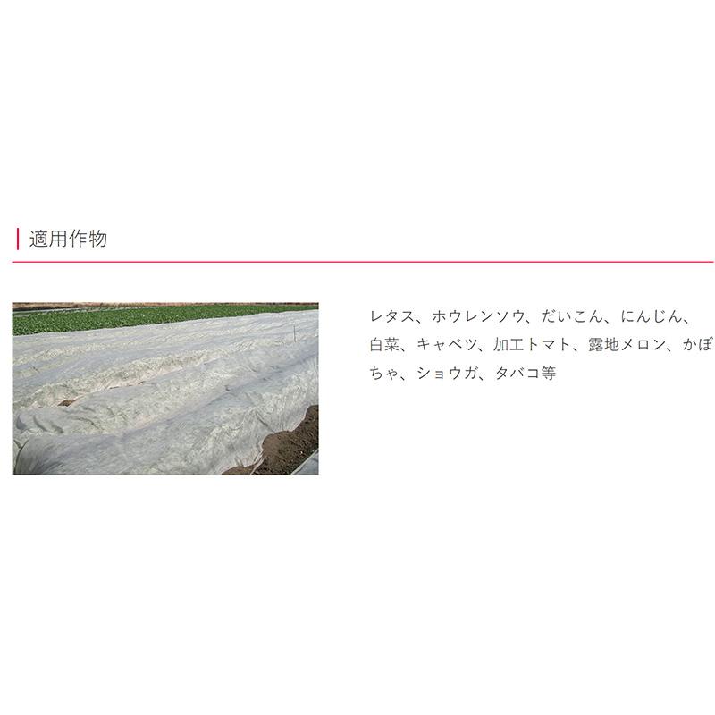 NEWアイホッカ #18 240cm×200m 生育促進 防霜効果 防虫・防鳥 農業用不織布 岩谷マテリアル イワタニ タS 個人宅配送不可 北海道不可 代引不可 |  | 03