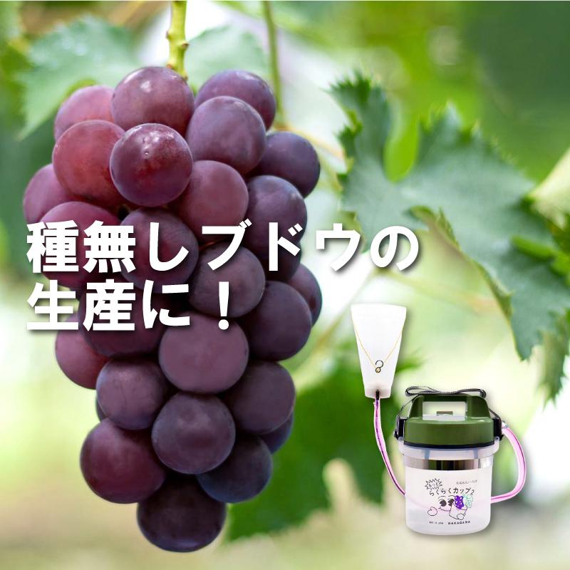 ジベレリン　ラクラクカップ ジベレリン 処理器 らくらくカップ2 大 本体 ぶどう ブドウ 葡萄 巨峰