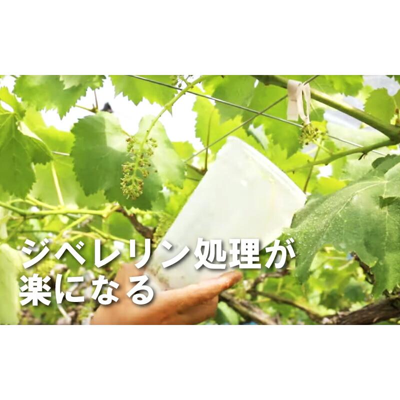 ジベレリン 処理器 らくらくカップ2 大 本体 ぶどう ブドウ 葡萄 巨峰