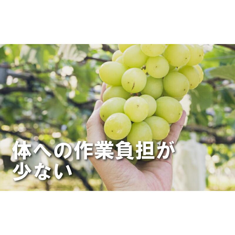 ジベレリン 処理器 らくらくカップ2 大 本体 ぶどう ブドウ 葡萄 巨峰 デラウェア 種なし ジベ処理機 ジベレリン処理 噴霧器 ラクラクカップ 中川製作所 タS DZ |  | 03