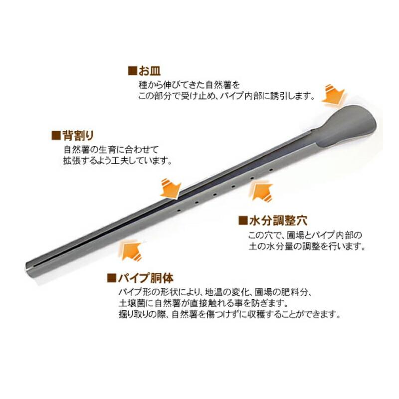 繰り返し使える 10本 クレバーパイプ 自然薯用 135cm 連作可能 自然薯栽培器 自然薯 じねんじょ 山芋 ヤマイモ 栽培 畑 家庭菜園 政田自然農園 タS DZ |  | 01